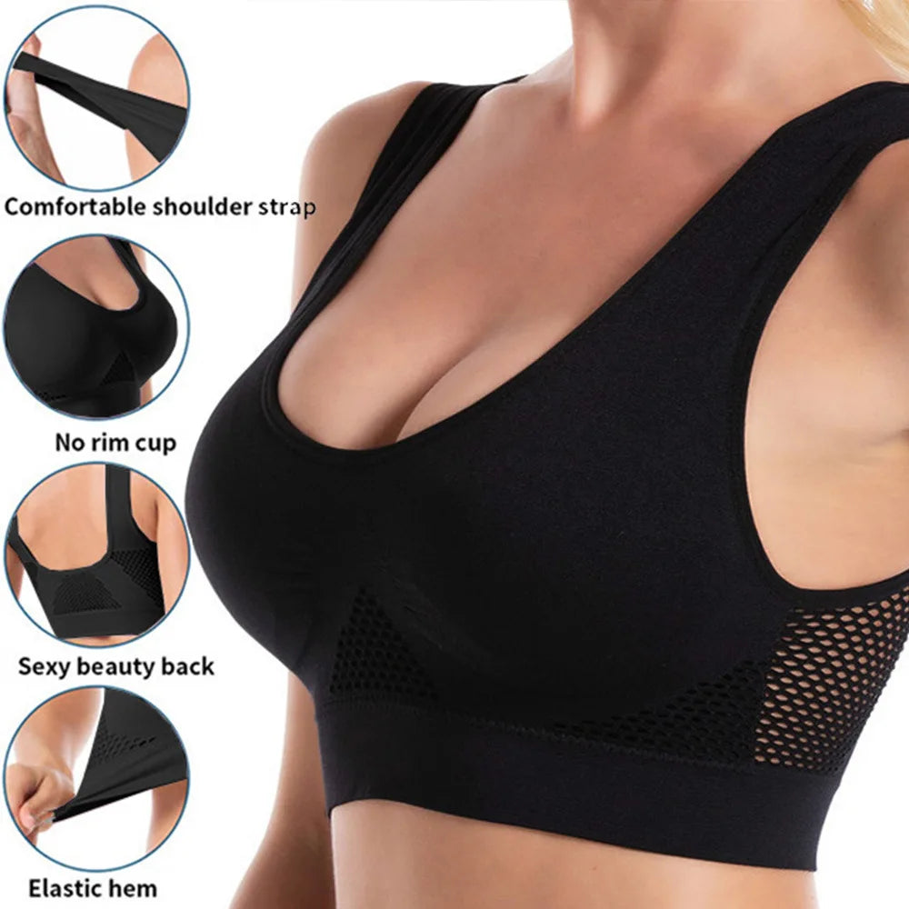 Seamless Mesh Sports Bra